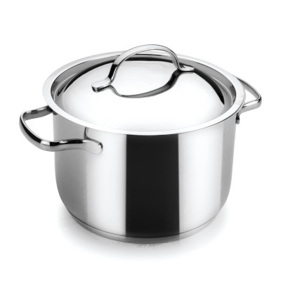 Basic low stock pot with lid
