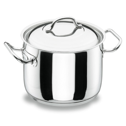 Professional stock pot with lid
